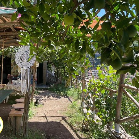 Cetara Camping Amalfitan Coast Hotell Exteriör bild