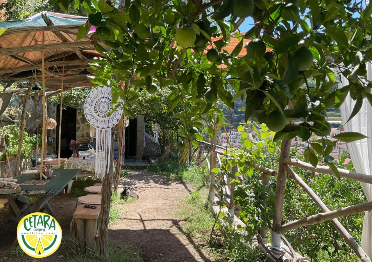 Cetara Camping Amalfitan Coast Hotell Exteriör bild